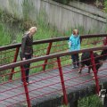 IMG_1021254