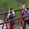 IMG_1021284