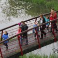 IMG_1021315