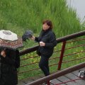 IMG_1021356