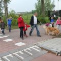 IMG_1022137