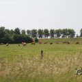 IMG_1041524