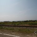 IMG_1041005