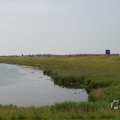 IMG_1041832