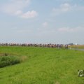 IMG_1041837