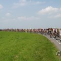IMG_1041841