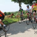 IMG_1041866