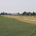 IMG_1041908
