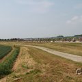 IMG_1041932