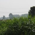 IMG_1040216