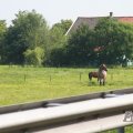 IMG_1040282