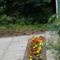 IMG_1043315