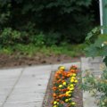 IMG_1043316