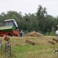 IMG_1043320
