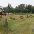 IMG_1043323