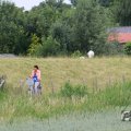 IMG_1043393
