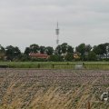IMG_1043423