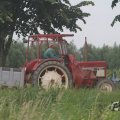 IMG_1043454