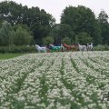 IMG_1043485