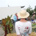 IMG_1055505