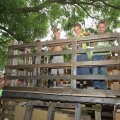 IMG_1057507