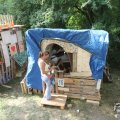 IMG_1057594