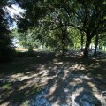 IMG_1058753
