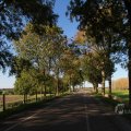 IMG_1076872