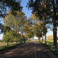 IMG_1076875