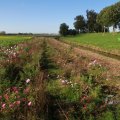 IMG_1076880