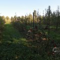 IMG_1076916