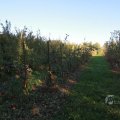 IMG_1076919