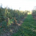 IMG_1076921