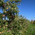 IMG_1076928