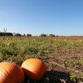 IMG_1076938
