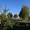 IMG_1076969