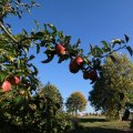 IMG_1076973
