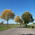 IMG_1076985