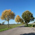IMG_1076986