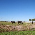 IMG_1076988