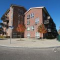 IMG_1077008