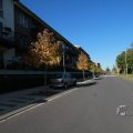 IMG_1077013