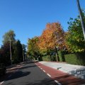 IMG_1077023