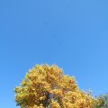 IMG_1077084