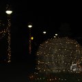 IMG_1087083