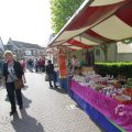 IMG_1115848