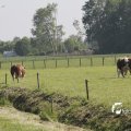 IMG_1143866