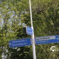 IMG_1145750