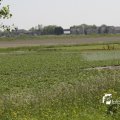 IMG_1145759