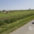 IMG_1146075